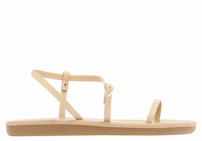 Sandales Bride Arrière Ancient Greek Sandals Niove   | YHX-2266322